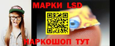 шишки Донской