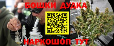 шишки Донской