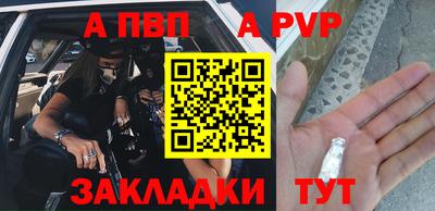 шишки Донской