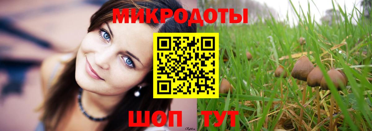 Галлюциногенные грибы Cubensis  Вход с VPN  Сатка 